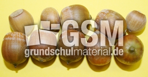 10-Haselnüsse.jpg